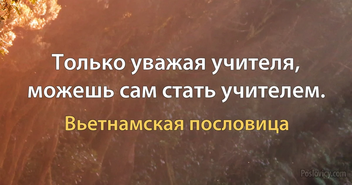 Только уважая учителя, можешь сам стать учителем. (Вьетнамская пословица)