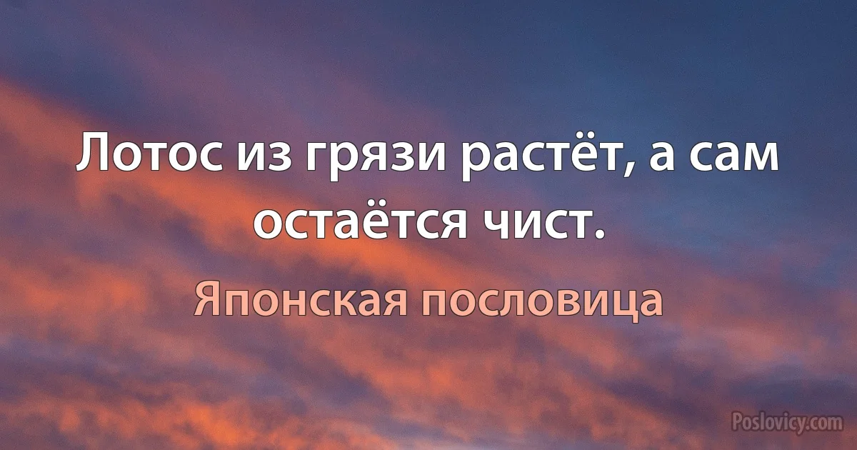 Лотос из грязи растёт, а сам остаётся чист. (Японская пословица)