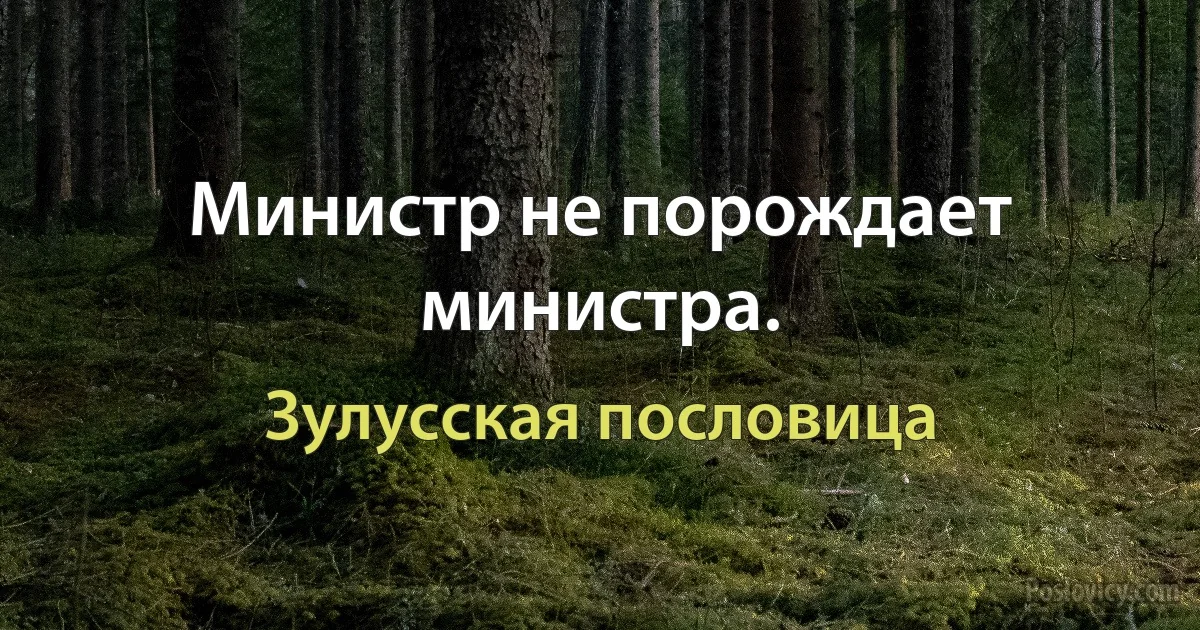 Министр не порождает министра. (Зулусская пословица)