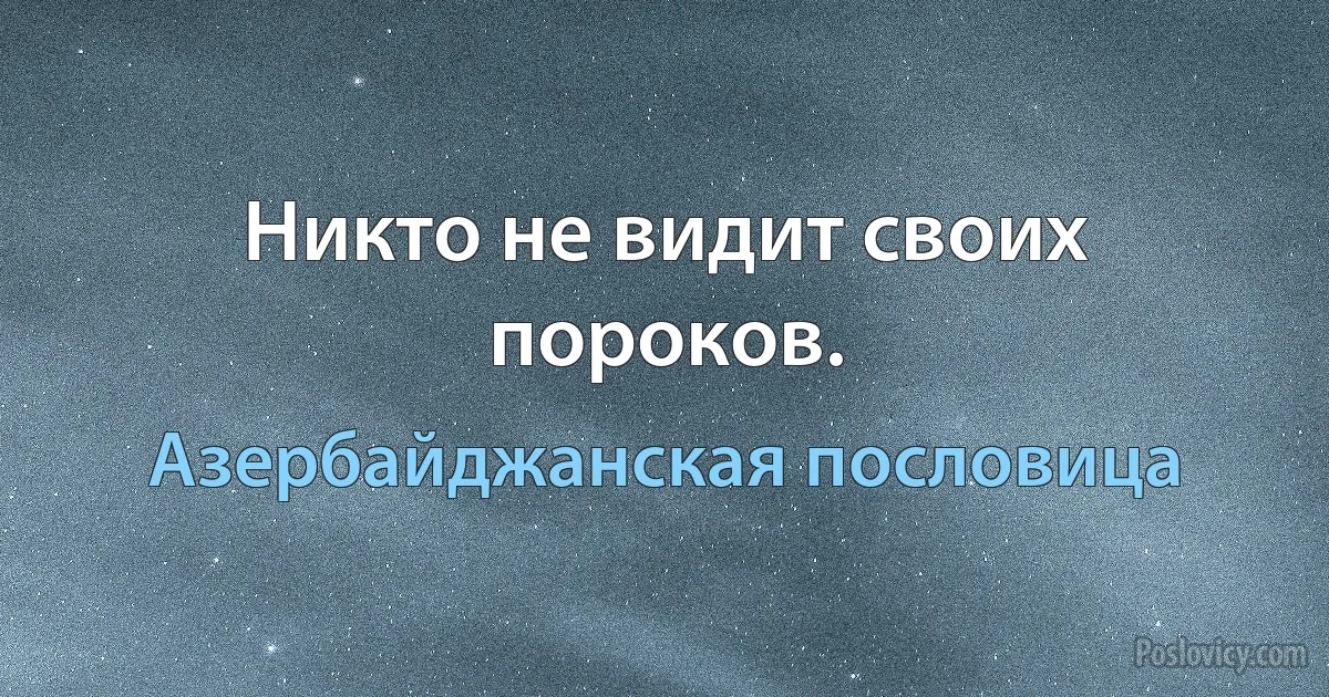 Никто не видит своих пороков. (Азербайджанская пословица)