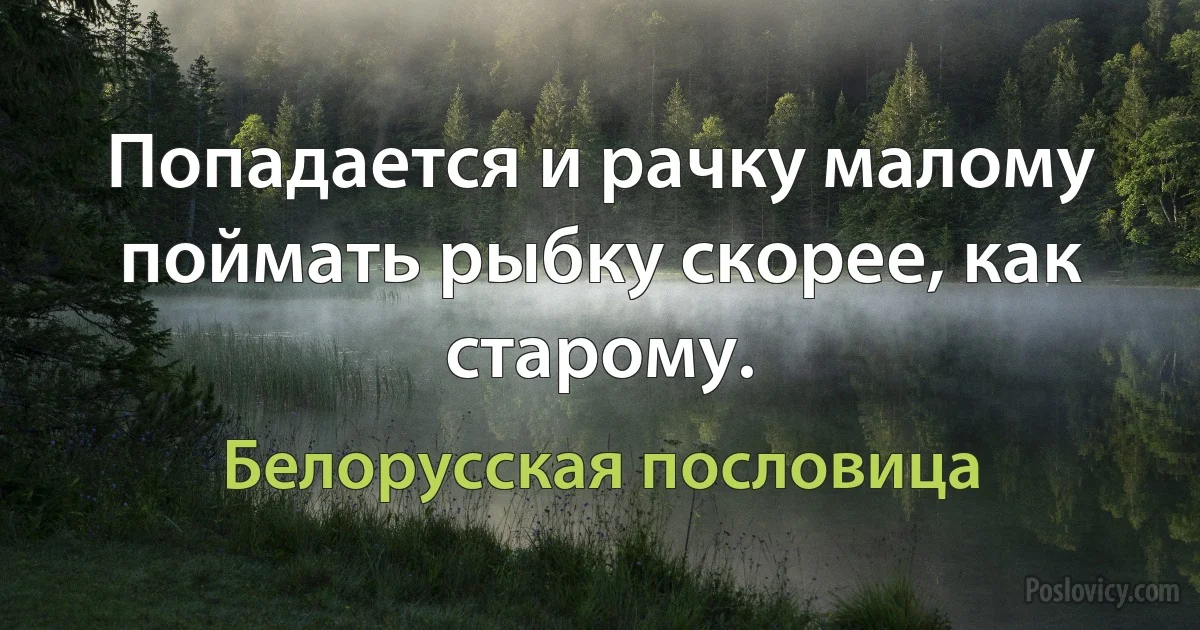 Попадается и рачку малому поймать рыбку скорее, как старому. (Белорусская пословица)