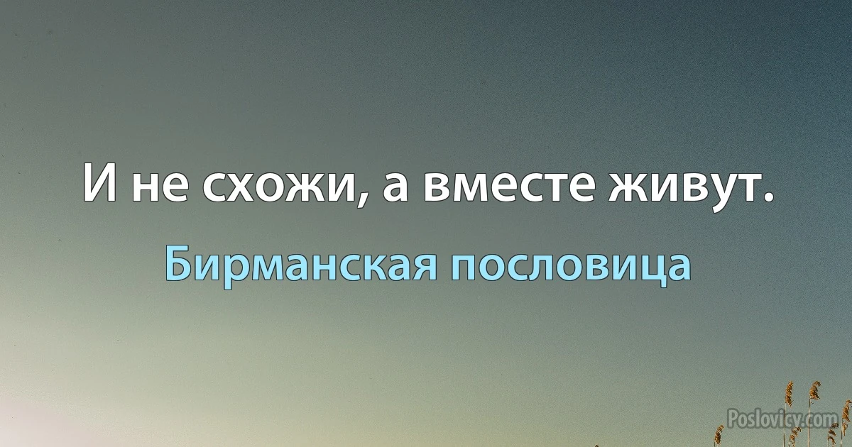 И не схожи, а вместе живут. (Бирманская пословица)