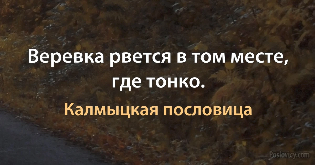 Веревка рвется в том месте, где тонко. (Калмыцкая пословица)