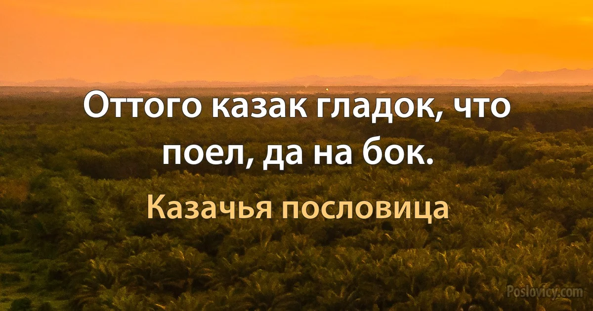 Оттого казак гладок, что поел, да на бок. (Казачья пословица)