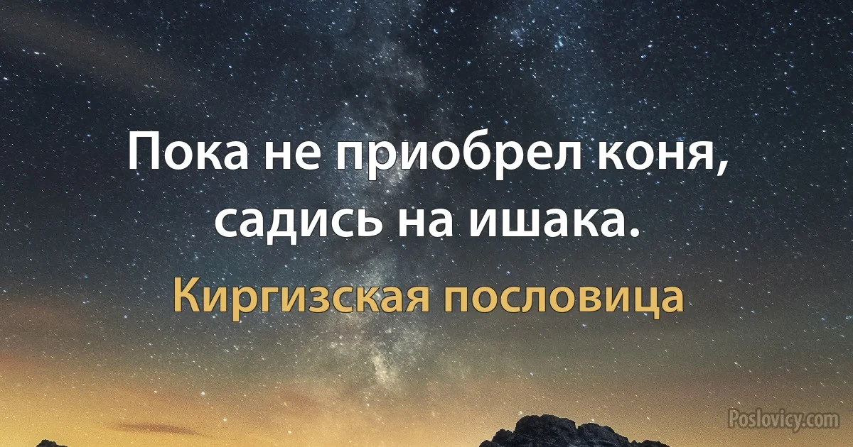 Пока не приобрел коня, садись на ишака. (Киргизская пословица)