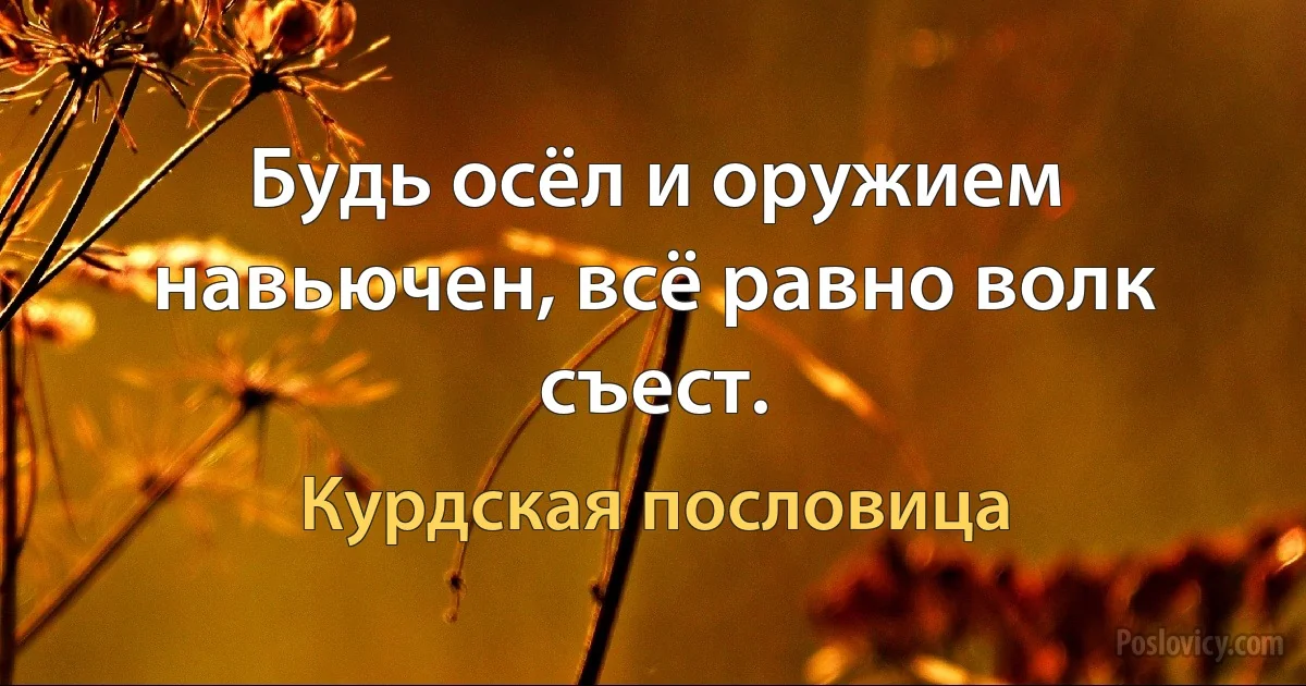 Будь осёл и оружием навьючен, всё равно волк съест. (Курдская пословица)