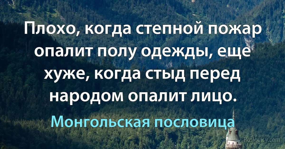 Плохо, когда степной пожар опалит полу одежды, еще хуже, когда стыд перед народом опалит лицо. (Монгольская пословица)