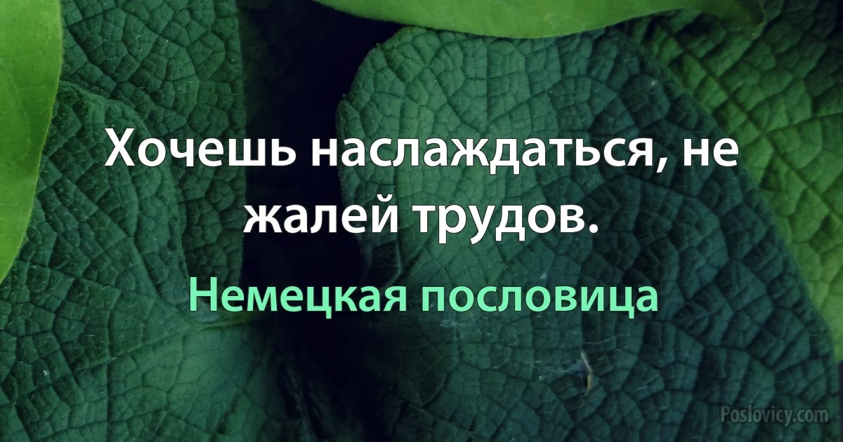 Хочешь наслаждаться, не жалей трудов. (Немецкая пословица)