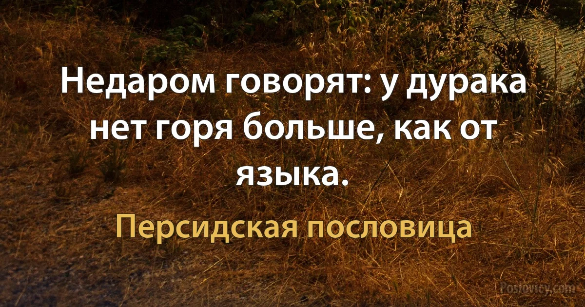 Недаром говорят: у дурака нет горя больше, как от языка. (Персидская пословица)