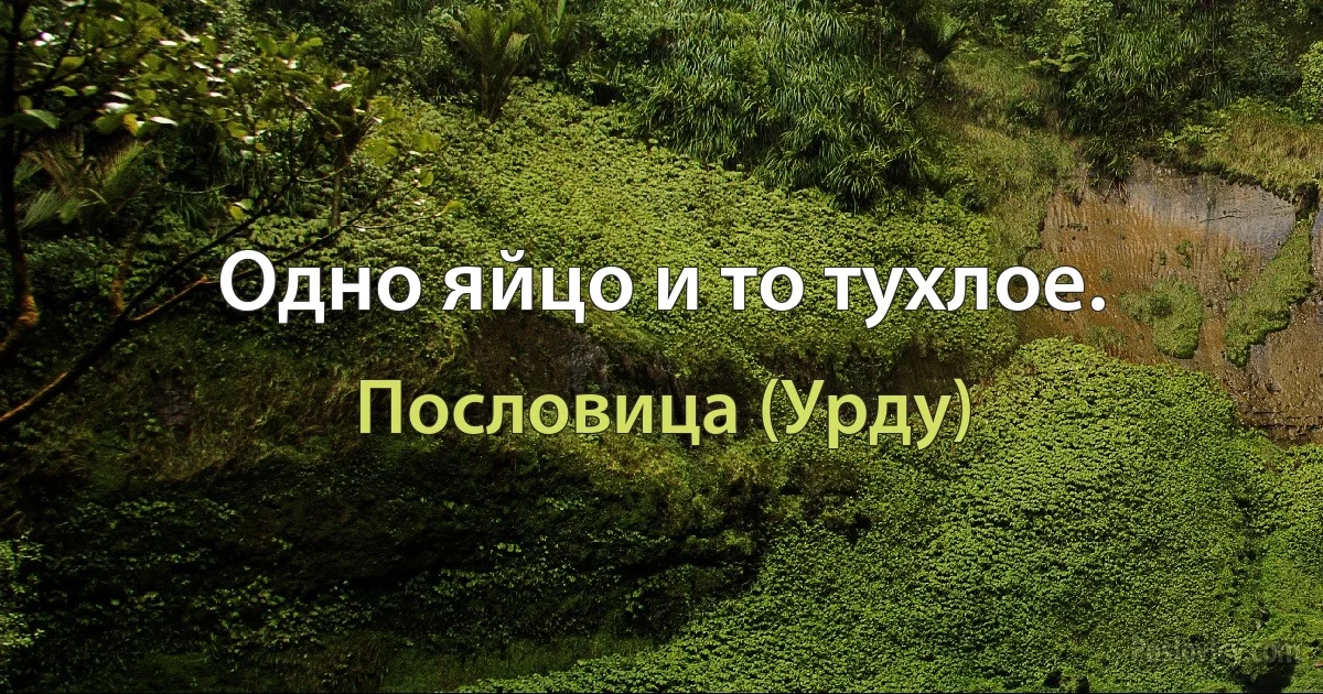 Одно яйцо и то тухлое. (Пословица (Урду))