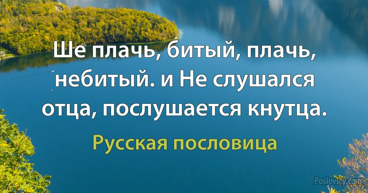 Ше плачь, битый, плачь, небитый. и Не слушался отца, послушается кнутца. (Русская пословица)