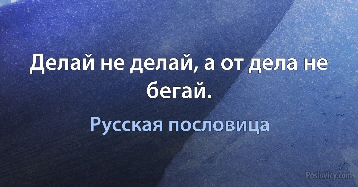 Делай не делай, а от дела не бегай. (Русская пословица)