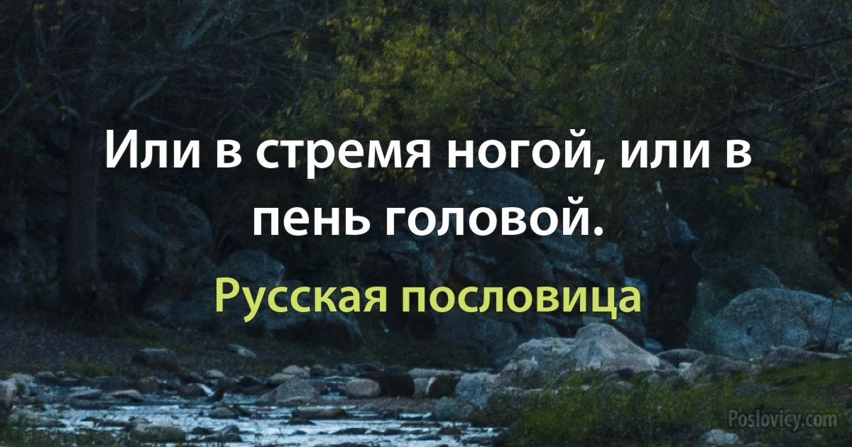 Или в стремя ногой, или в пень головой. (Русская пословица)