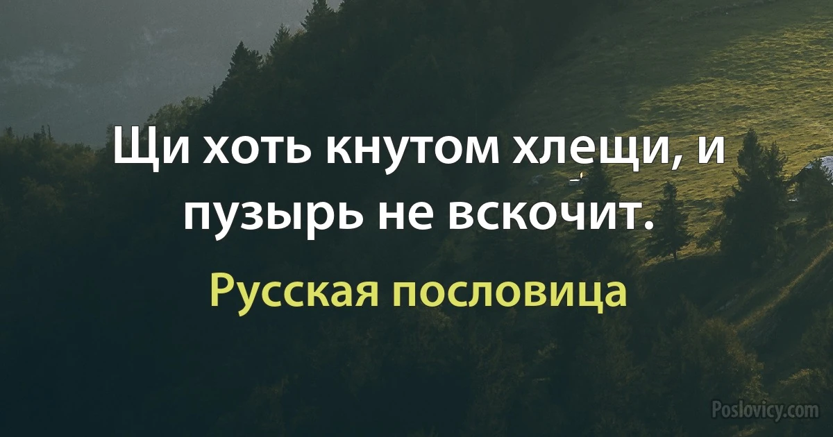 Щи хоть кнутом хлещи, и пузырь не вскочит. (Русская пословица)