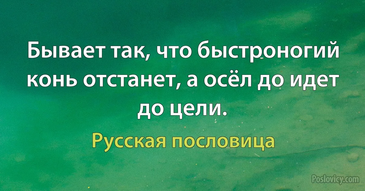 Бывает так, что быстроногий конь отстанет, а осёл до идет до цели. (Русская пословица)