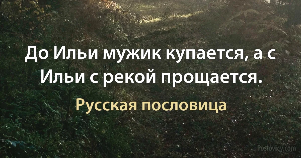 До Ильи мужик купается, а с Ильи с рекой прощается. (Русская пословица)