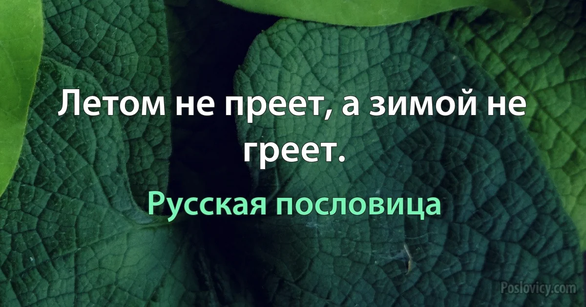 Летом не преет, а зимой не греет. (Русская пословица)