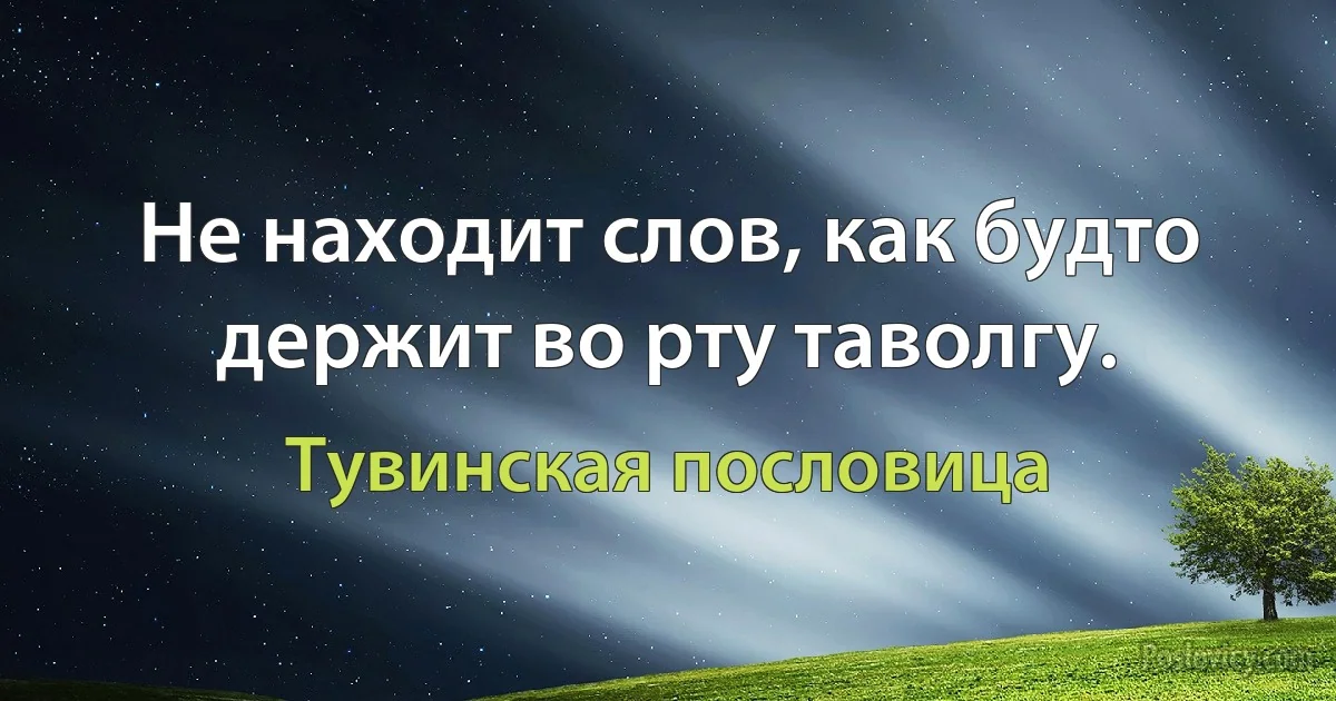 Не находит слов, как будто держит во рту таволгу. (Тувинская пословица)