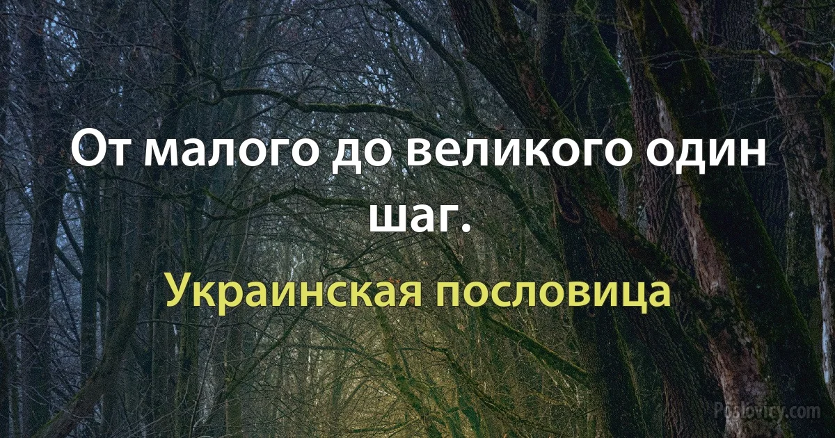 От малого до великого один шаг. (Украинская пословица)