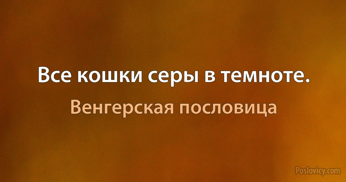 Все кошки серы в темноте. (Венгерская пословица)