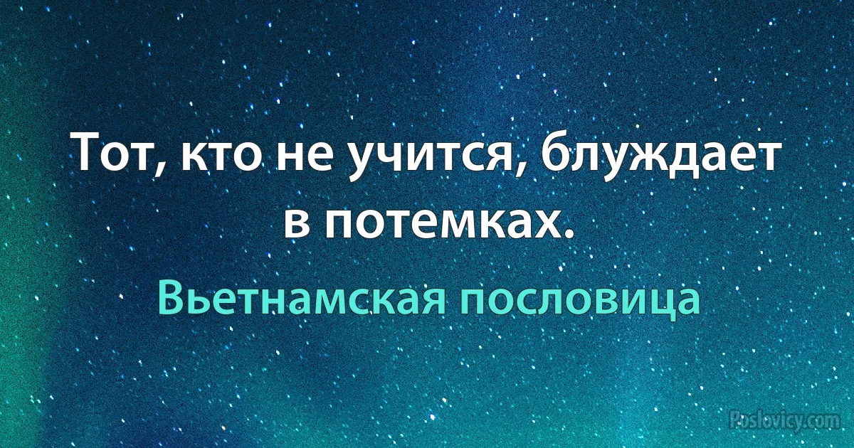 Тот, кто не учится, блуждает в потемках. (Вьетнамская пословица)