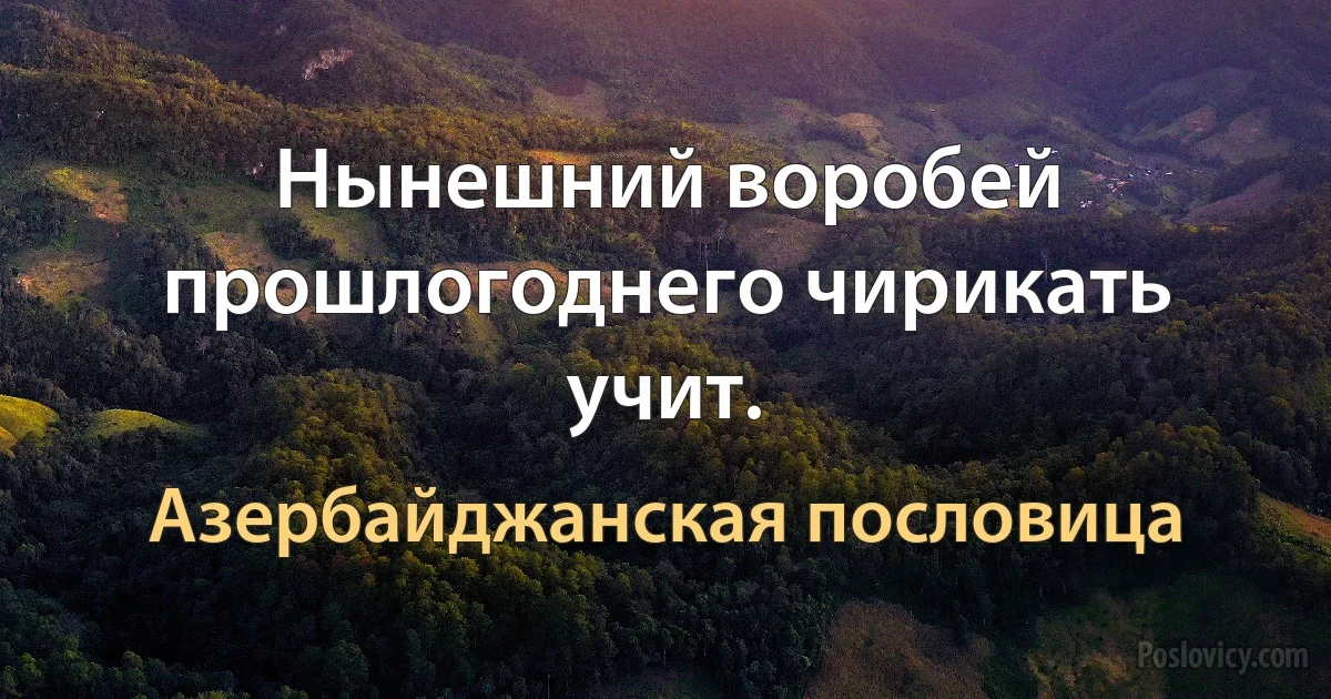 Нынешний воробей прошлогоднего чирикать учит. (Азербайджанская пословица)