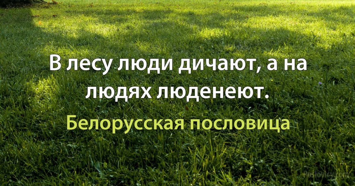 В лесу люди дичают, а на людях люденеют. (Белорусская пословица)