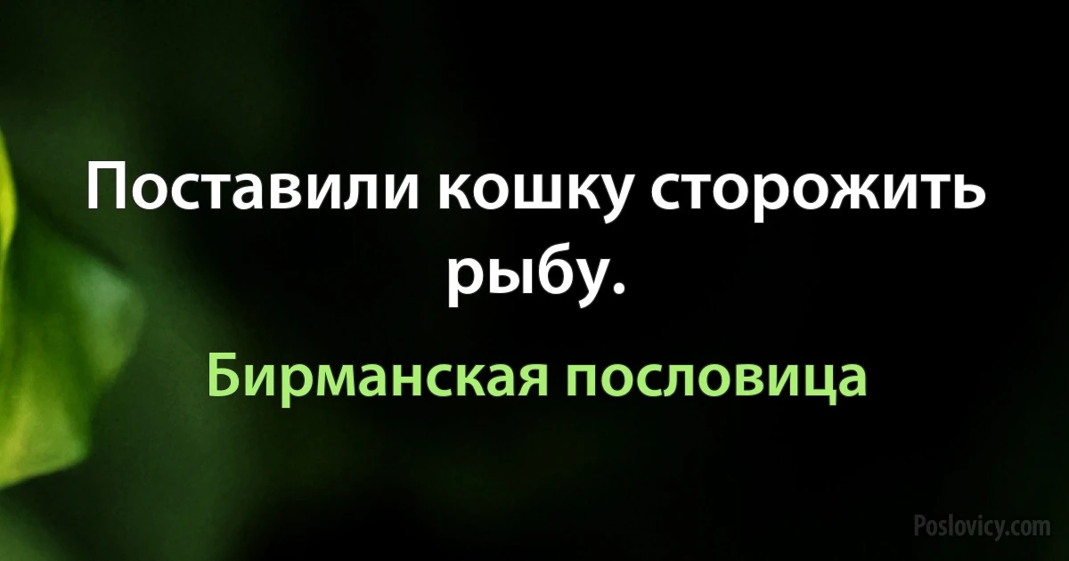 Поставили кошку сторожить рыбу. (Бирманская пословица)