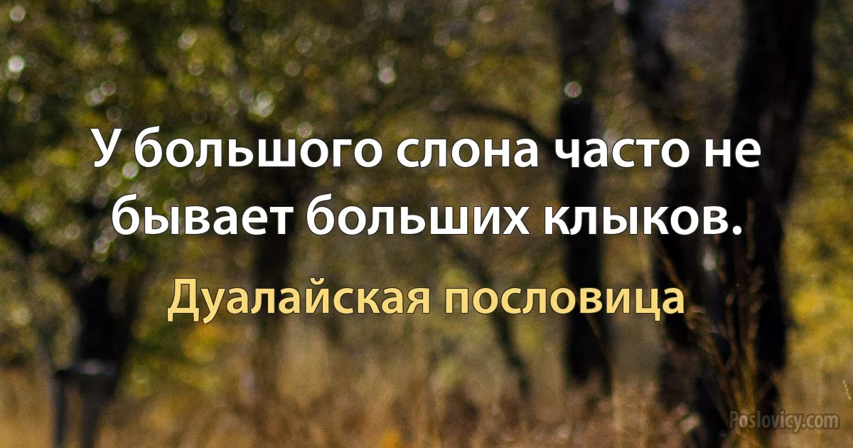 У большого слона часто не бывает больших клыков. (Дуалайская пословица)