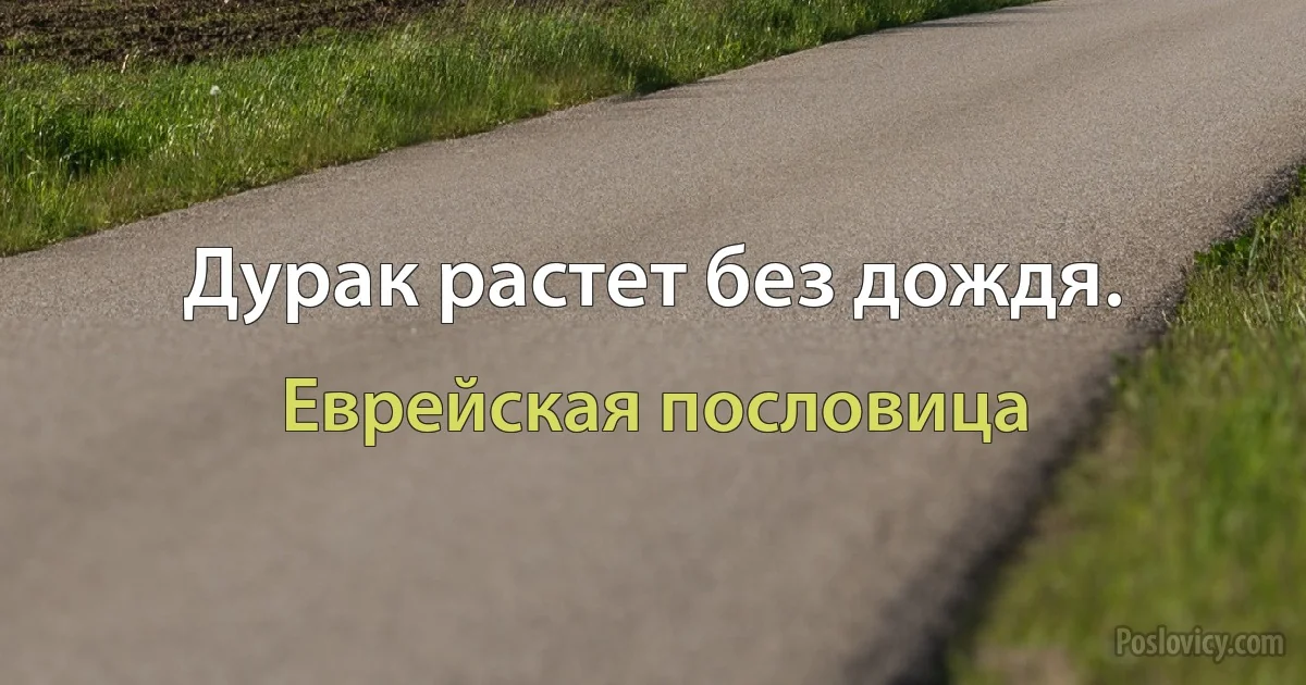 Дурак растет без дождя. (Еврейская пословица)