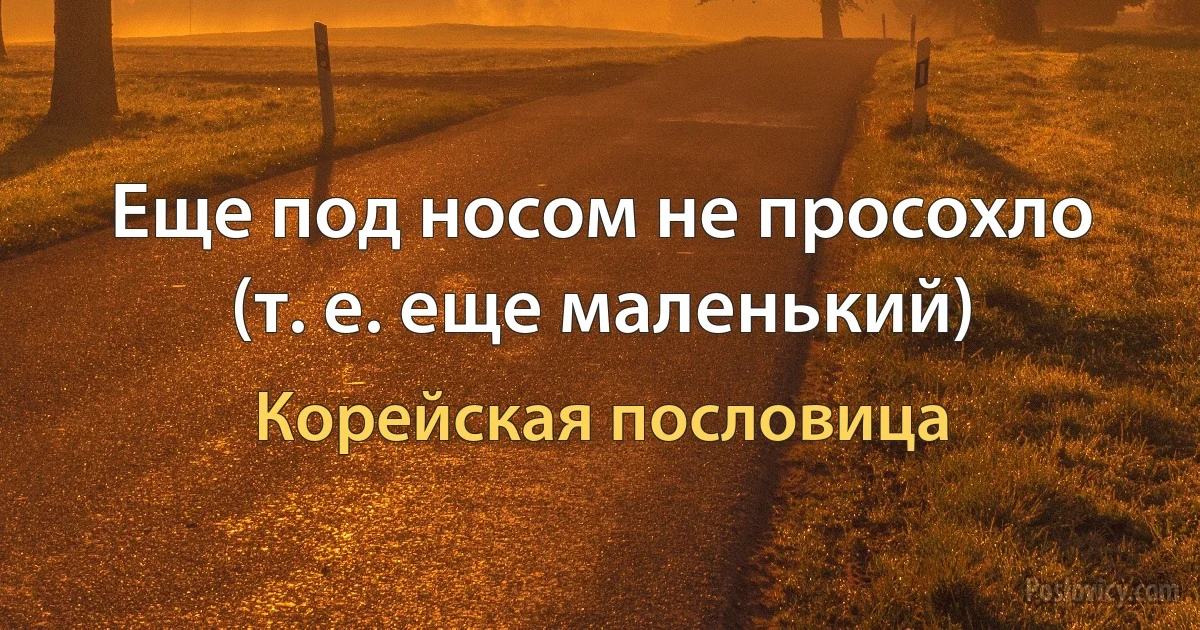 Еще под носом не просохло (т. е. еще маленький) (Корейская пословица)