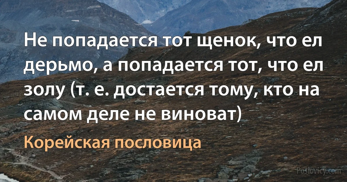 Не попадается тот щенок, что ел дерьмо, а попадается тот, что ел золу (т. е. достается тому, кто на самом деле не виноват) (Корейская пословица)