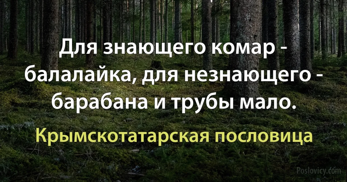 Для знающего комар - балалайка, для незнающего - барабана и трубы мало. (Крымскотатарская пословица)