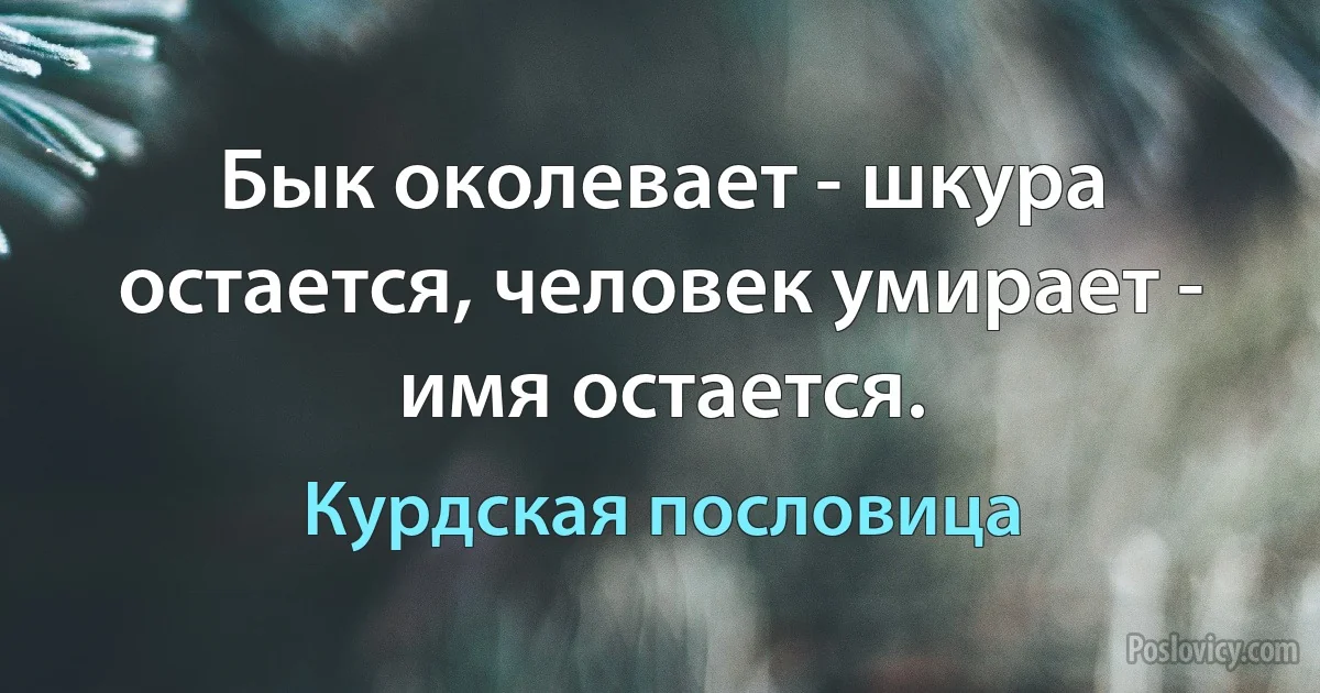 Бык околевает - шкура остается, человек умирает - имя остается. (Курдская пословица)