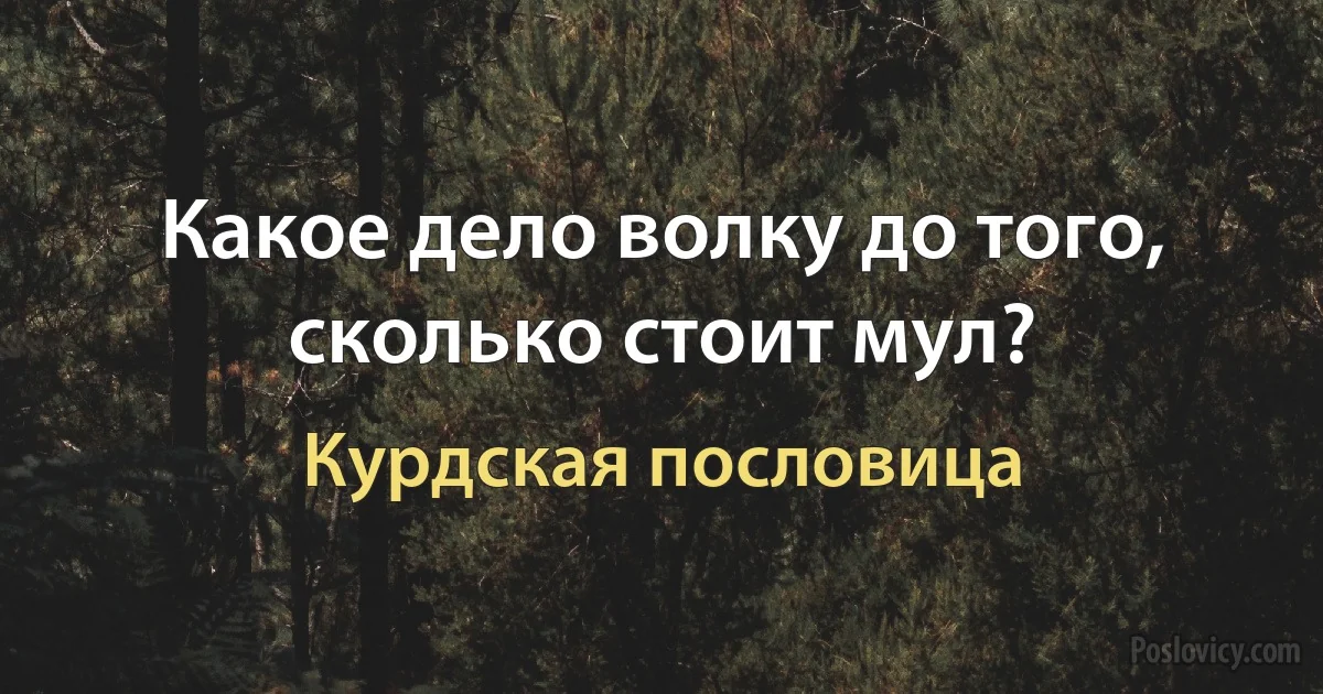 Какое дело волку до того, сколько стоит мул? (Курдская пословица)