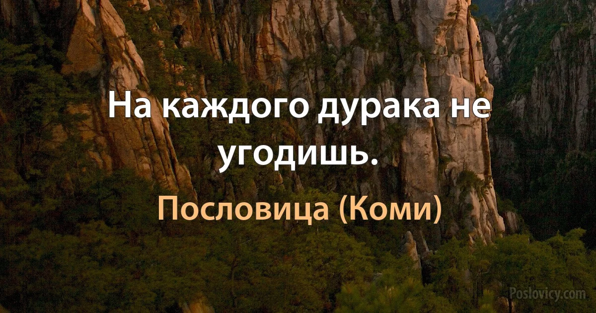 На каждого дурака не угодишь. (Пословица (Коми))