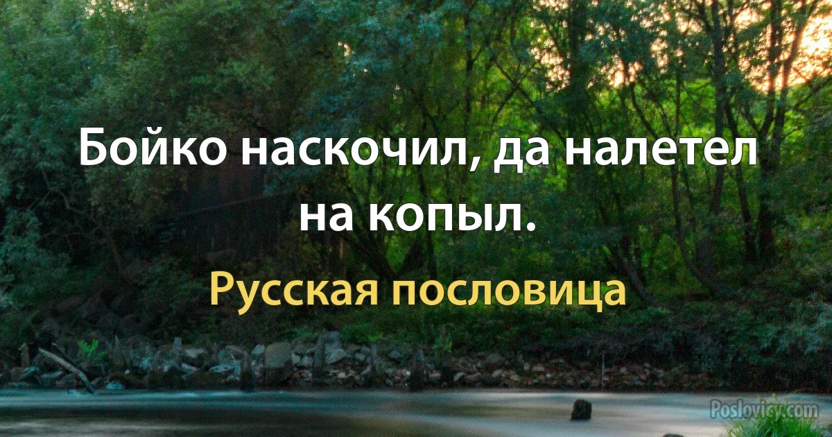 Бойко наскочил, да налетел на копыл. (Русская пословица)