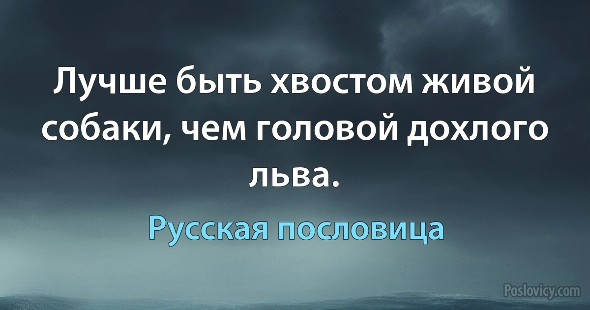 Лучше быть хвостом живой собаки, чем головой дохлого льва. (Русская пословица)