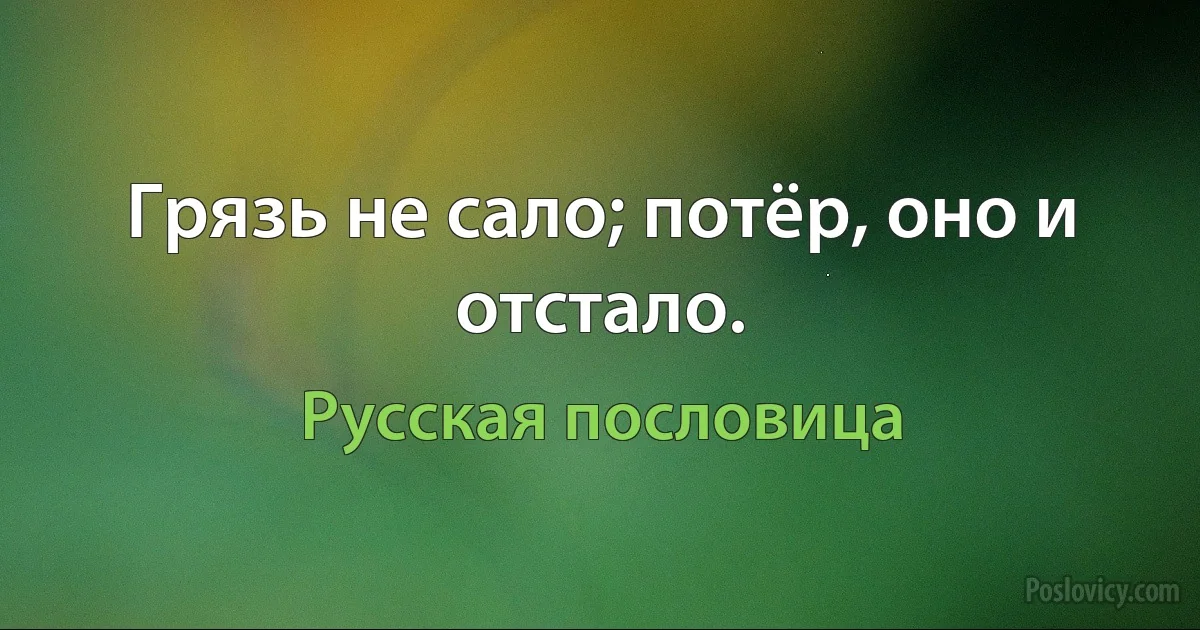 Грязь не сало; потёр, оно и отстало. (Русская пословица)