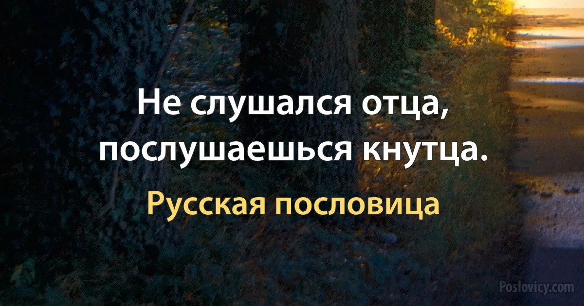 Не слушался отца, послушаешься кнутца. (Русская пословица)