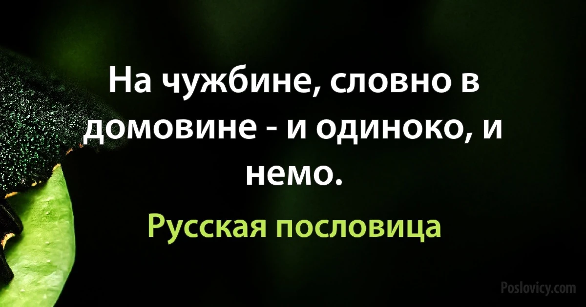 На чужбине, словно в домовине - и одиноко, и немо. (Русская пословица)