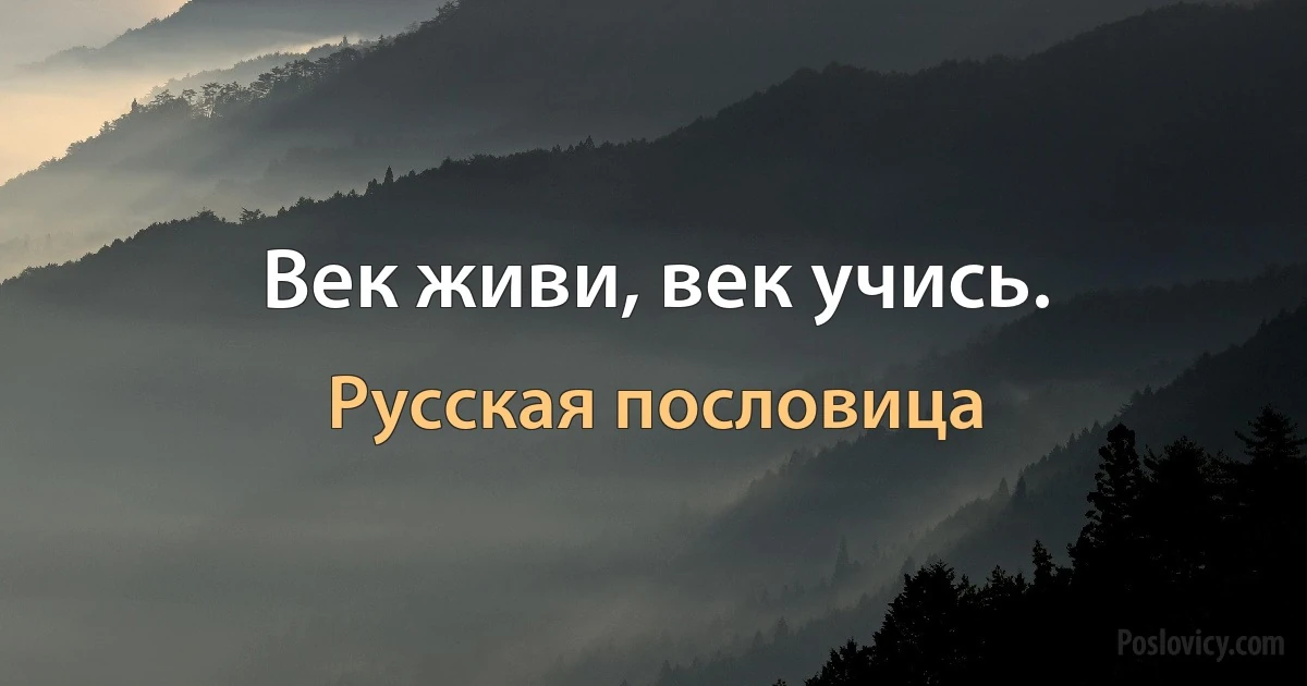 Век живи, век учись. (Русская пословица)