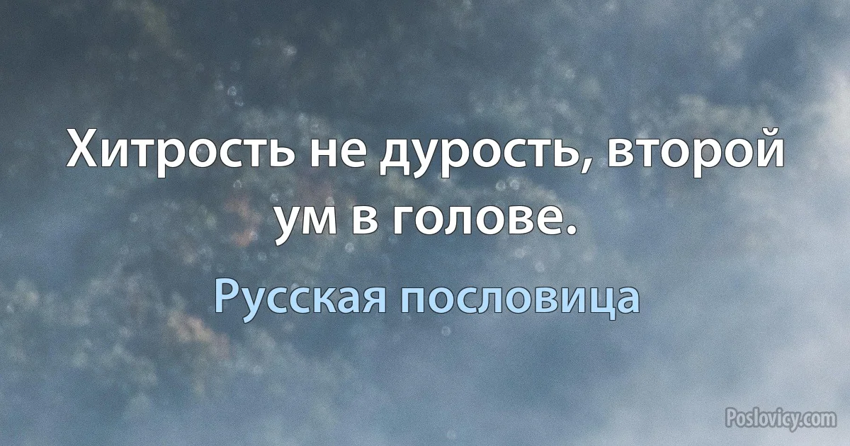 Хитрость не дурость, второй ум в голове. (Русская пословица)