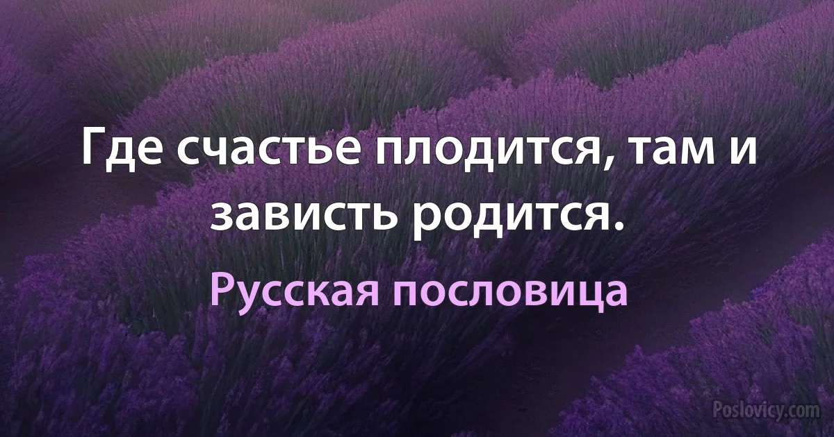 Где счастье плодится, там и зависть родится. (Русская пословица)