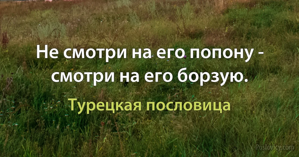 Не смотри на его попону - смотри на его борзую. (Турецкая пословица)