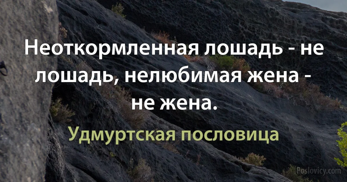 Неоткормленная лошадь - не лошадь, нелюбимая жена - не жена. (Удмуртская пословица)