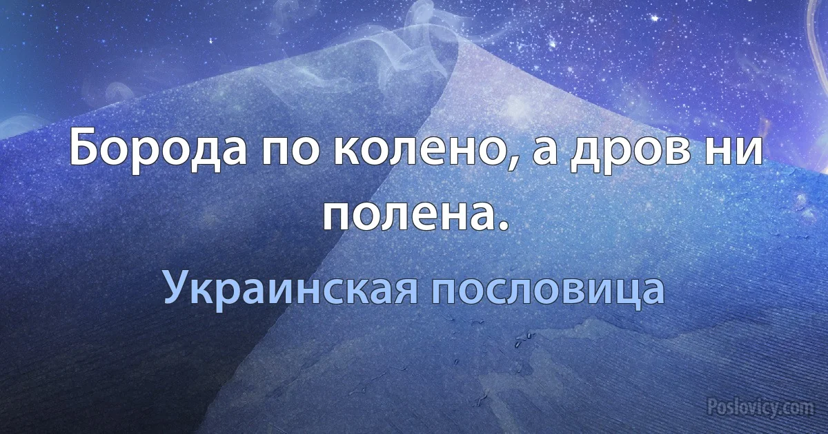 Борода по колено, а дров ни полена. (Украинская пословица)