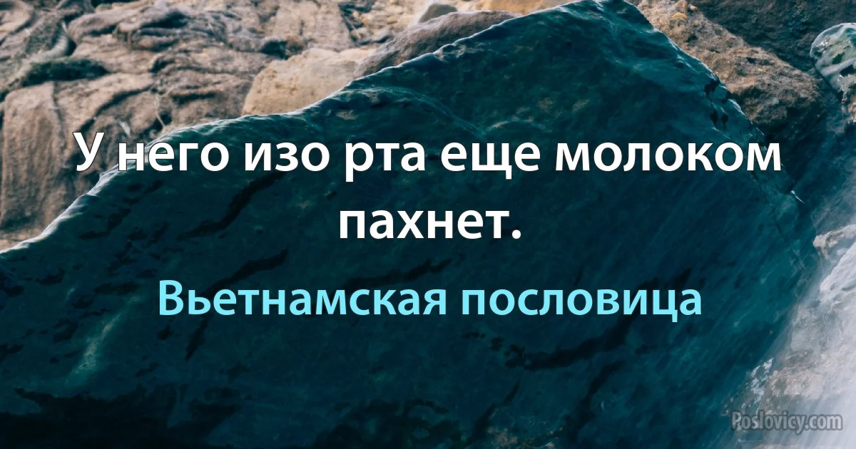 У него изо рта еще молоком пахнет. (Вьетнамская пословица)