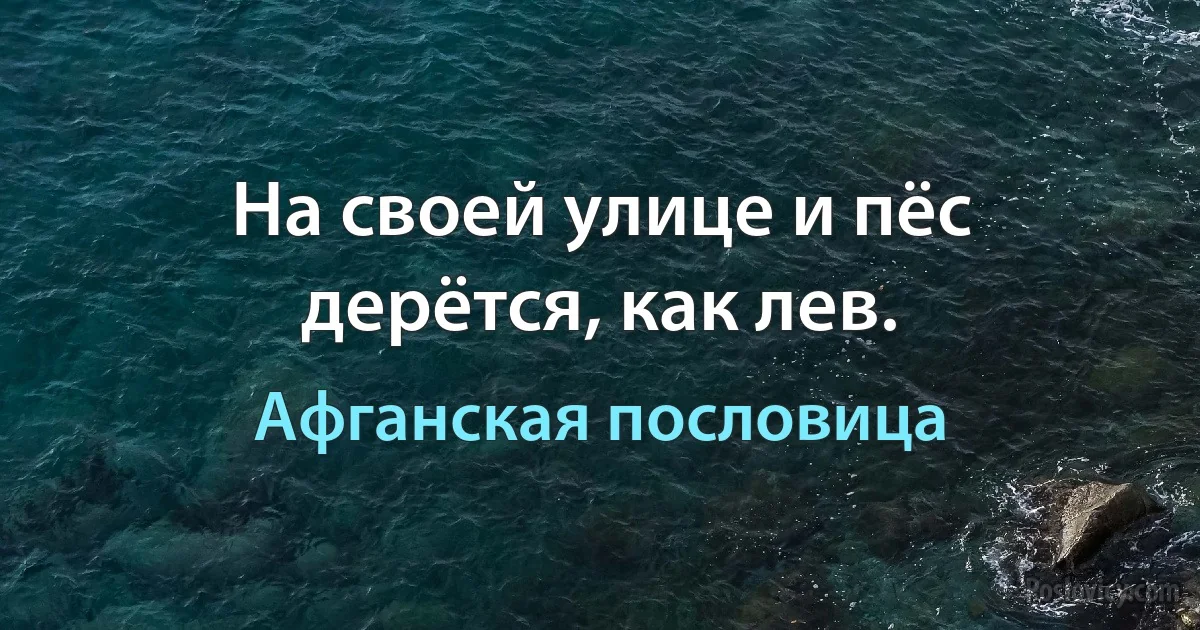 На своей улице и пёс дерётся, как лев. (Афганская пословица)