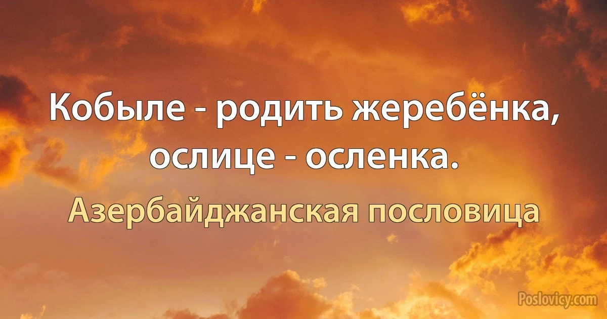 Кобыле - родить жеребёнка, ослице - осленка. (Азербайджанская пословица)